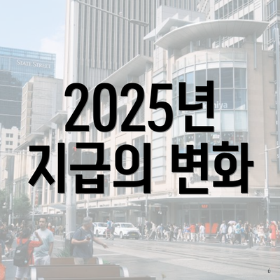 2025년 지급의 변화