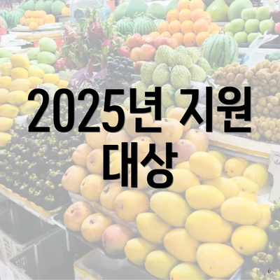 2025년 지원 대상