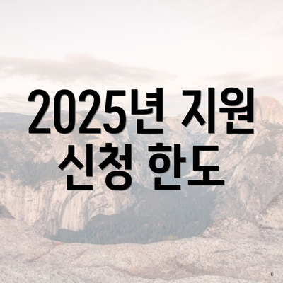 2025년 지원 신청 한도