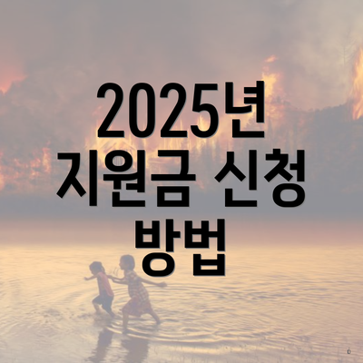 2025년 지원금 신청 방법