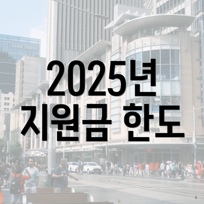 2025년 지원금 한도