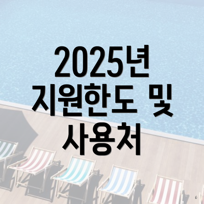 2025년 지원한도 및 사용처