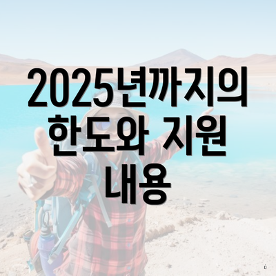 2025년까지의 한도와 지원 내용