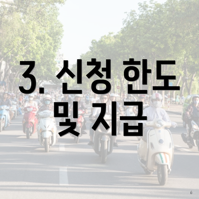 3. 신청 한도 및 지급