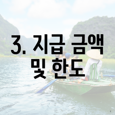 3. 지급 금액 및 한도