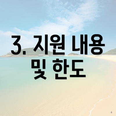 3. 지원 내용 및 한도