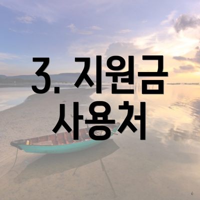 3. 지원금 사용처
