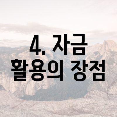 4. 자금 활용의 장점