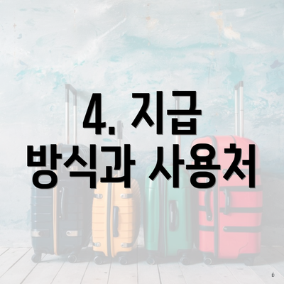 4. 지급 방식과 사용처