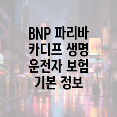 BNP 파리바 카디프 생명 운전자 보험 기본 정보