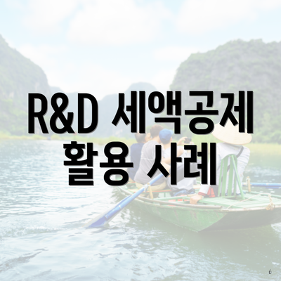 R&D 세액공제 활용 사례