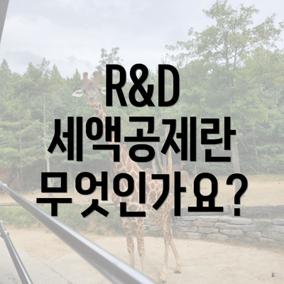 R&D 세액공제란 무엇인가요?
