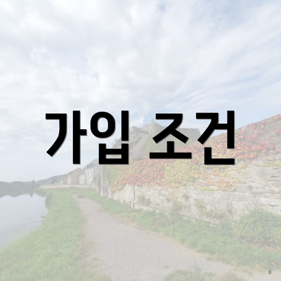 가입 조건