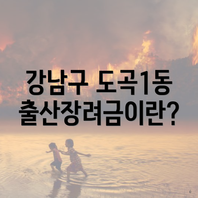 강남구 도곡1동 출산장려금이란?