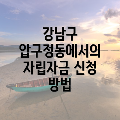 강남구 압구정동에서의 자립자금 신청 방법