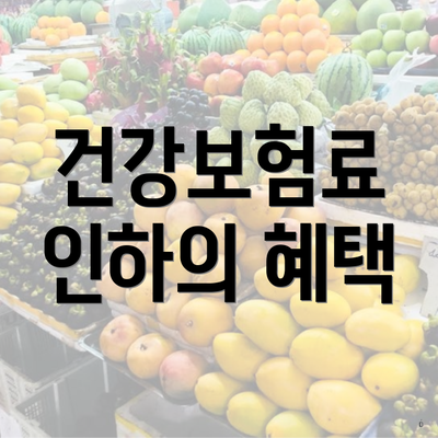 건강보험료 인하의 혜택