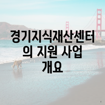 경기지식재산센터의 지원 사업 개요