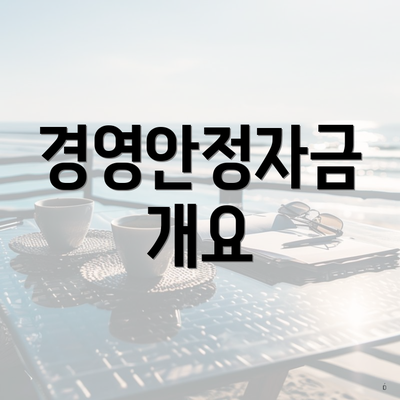 경영안정자금 개요