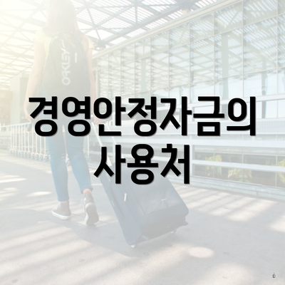 경영안정자금의 사용처