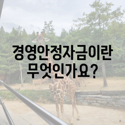 경영안정자금이란 무엇인가요?