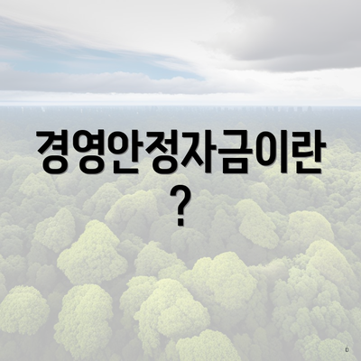 경영안정자금이란?