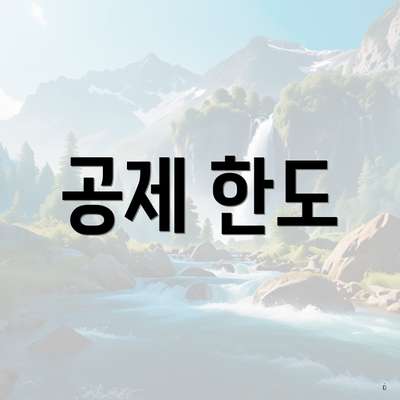 공제 한도