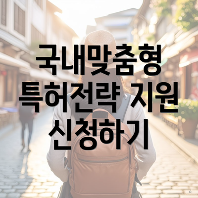 국내맞춤형 특허전략 지원 신청하기