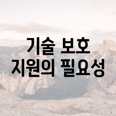 기술 보호 지원의 필요성