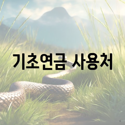 기초연금 사용처