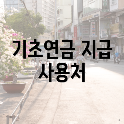 기초연금 지급 사용처