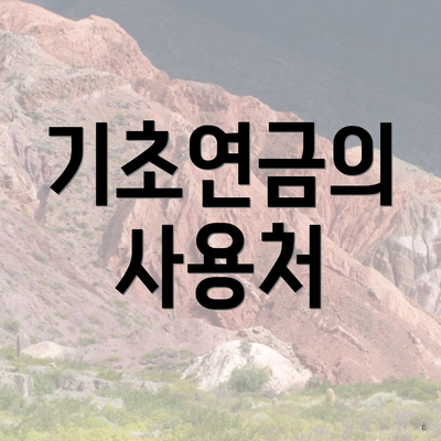 기초연금의 사용처