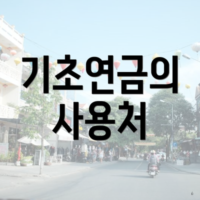 기초연금의 사용처