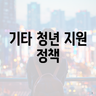 기타 청년 지원 정책