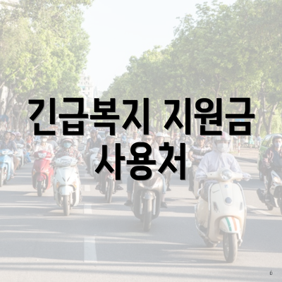 긴급복지 지원금 사용처