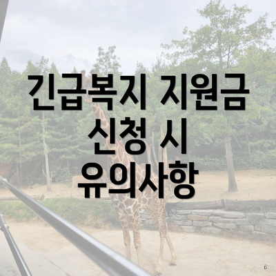 긴급복지 지원금 신청 시 유의사항
