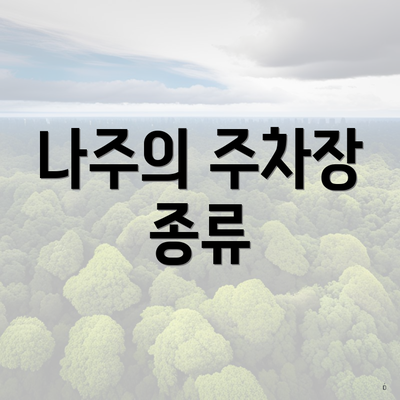 나주의 주차장 종류