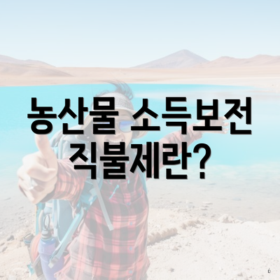 농산물 소득보전 직불제란?
