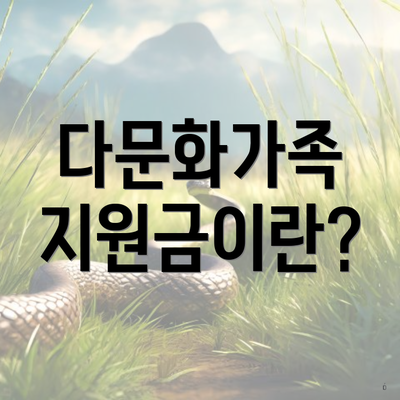 다문화가족 지원금이란?