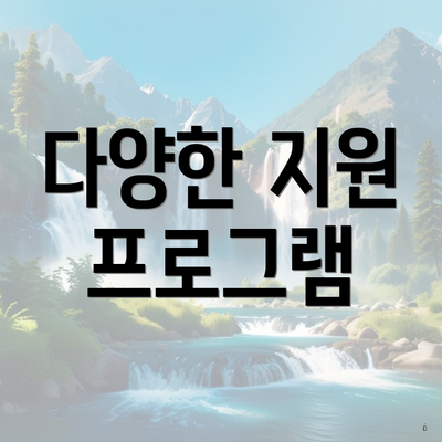 다양한 지원 프로그램