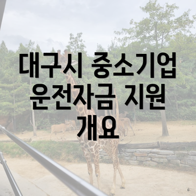 대구시 중소기업 운전자금 지원 개요