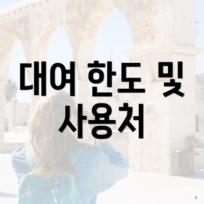 대여 한도 및 사용처