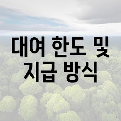 대여 한도 및 지급 방식
