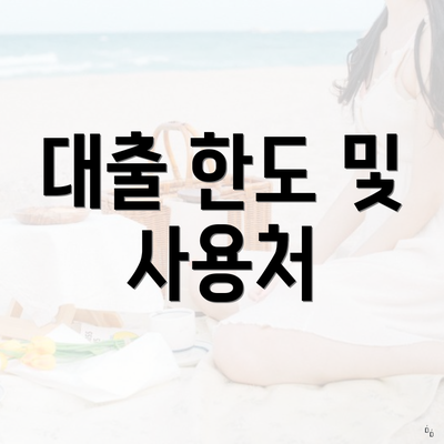 대출 한도 및 사용처