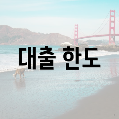 대출 한도