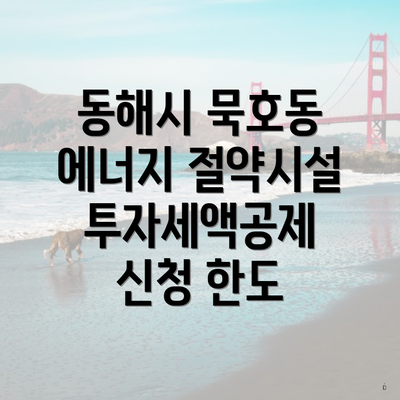 동해시 묵호동 에너지 절약시설 투자세액공제 신청 한도