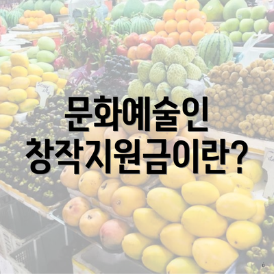문화예술인 창작지원금이란?