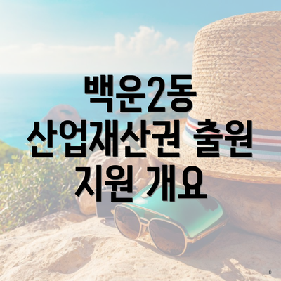 백운2동 산업재산권 출원 지원 개요