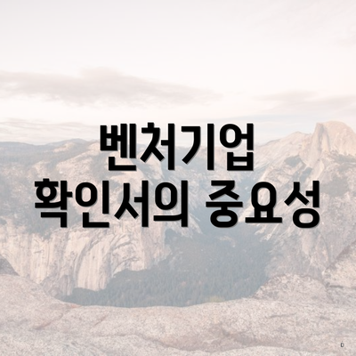벤처기업 확인서의 중요성
