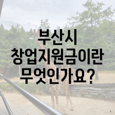 부산시 창업지원금이란 무엇인가요?