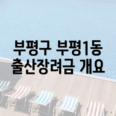 부평구 부평1동 출산장려금 개요